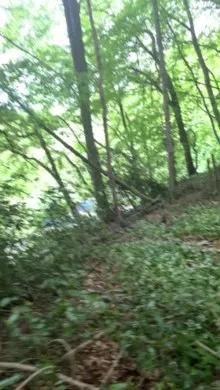 Photos of Outandabout from Cam4 is Freechat