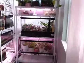 constantcumquest — (Show Starting Soon!) Happy Friday! Goal : Vibe Check [400 tokens left] #petite #longhair #bignaturalboobs #allnatural #naturaltits